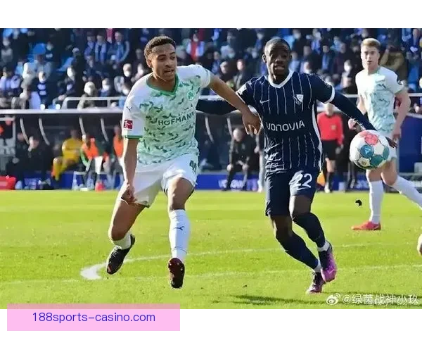 德累斯顿与赫塔球迷互掷烟火引发冲突 比赛中断20分钟局势紧张